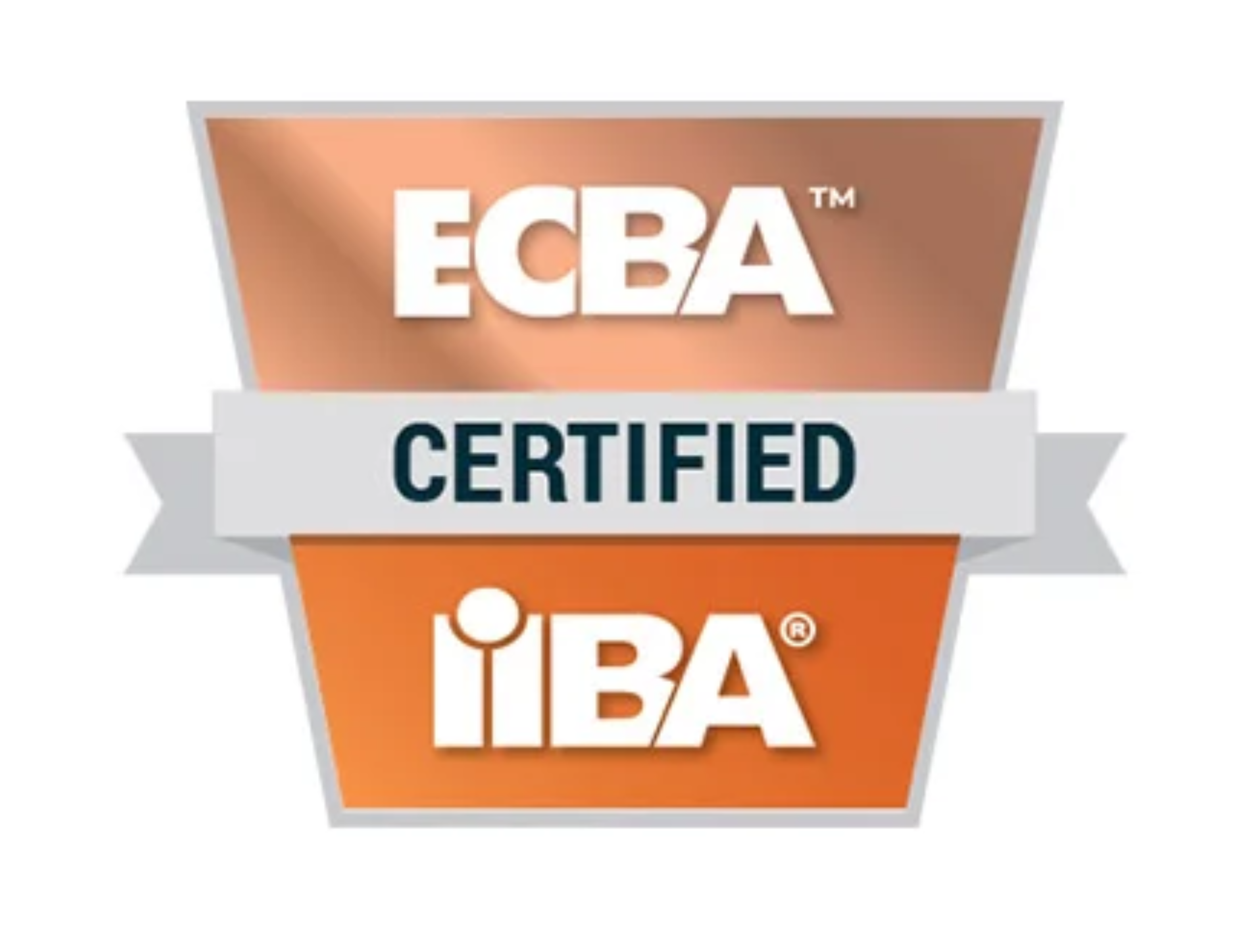  Entry Certificate in Business Analysis™ (ECBA™)
